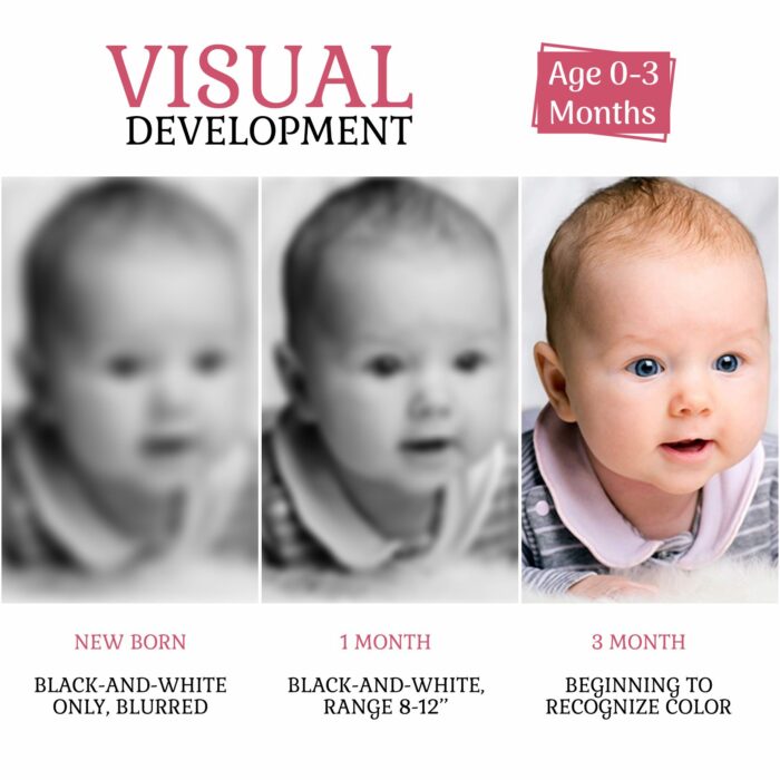 ClapJoy New Born Flash cards cj114