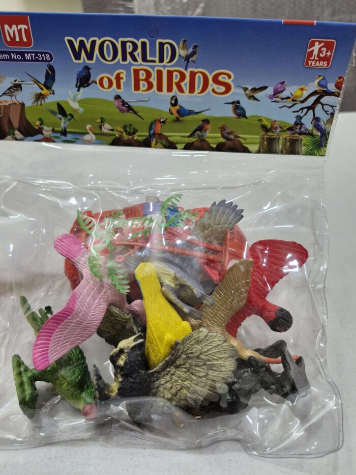 8 Piece world of Birds gz371