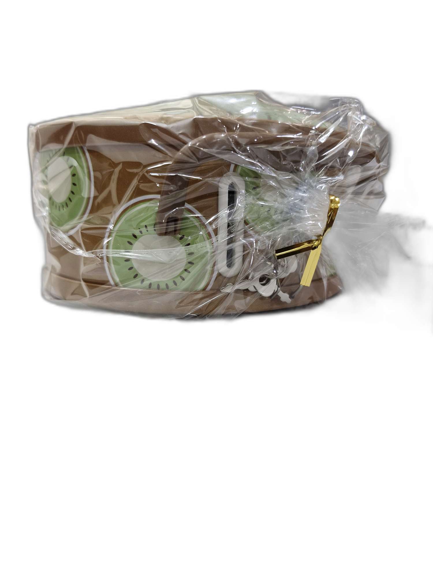 Kiwi-Coin-Money-Piggy-Bank-gz521-2