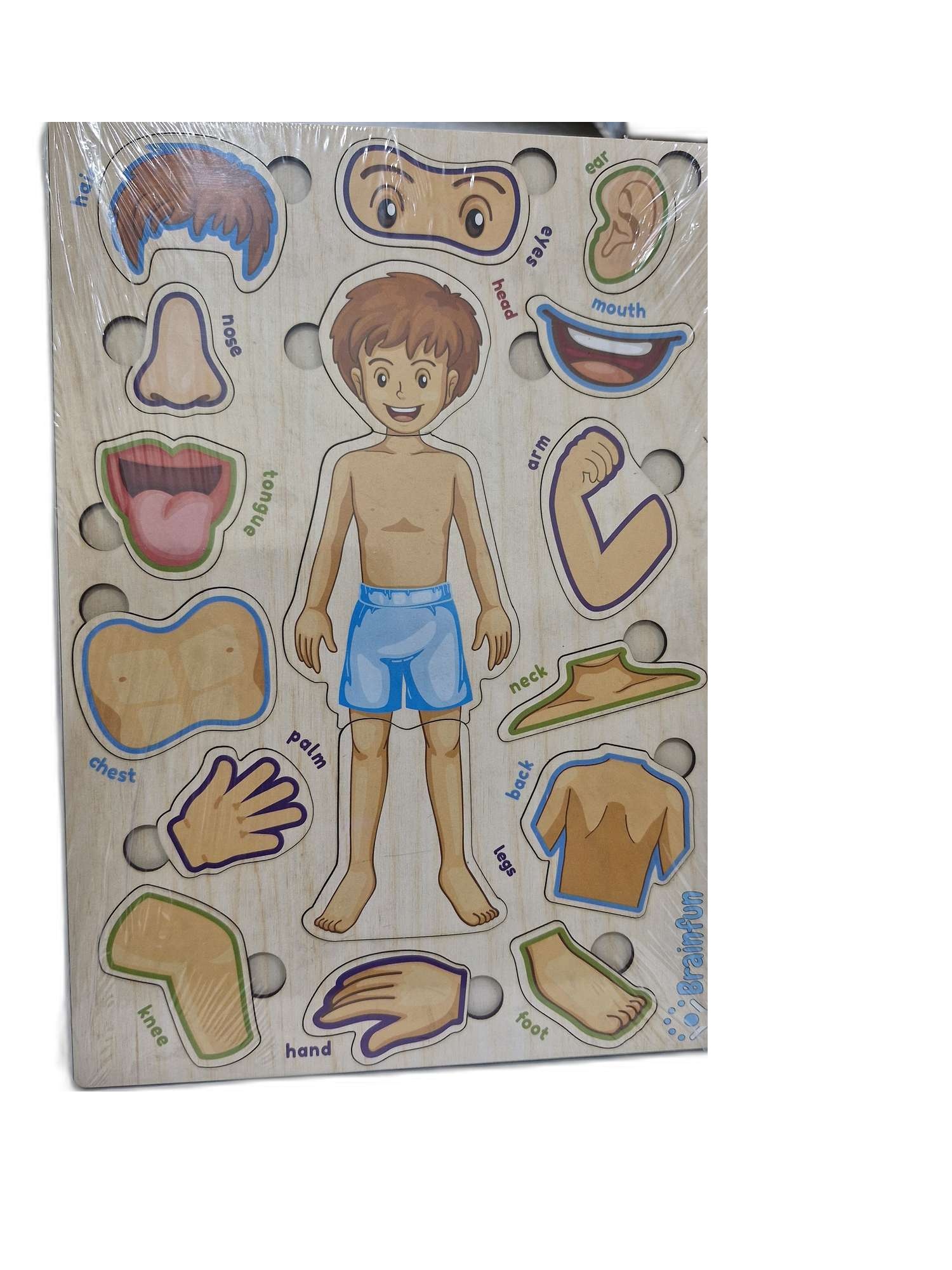 Knob-Wooden-Puzzle-Body-part-combo-30-21-CM-gz170